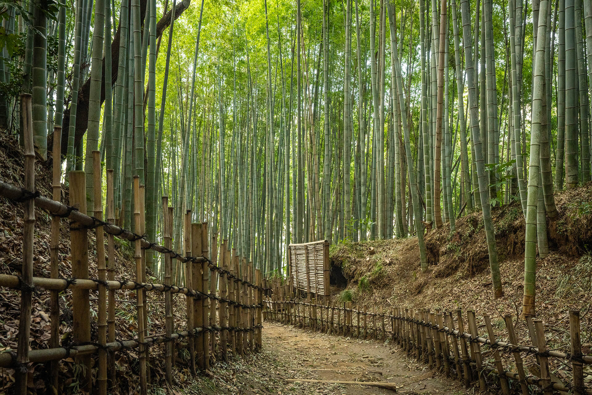 chiba prefecture tourist spot