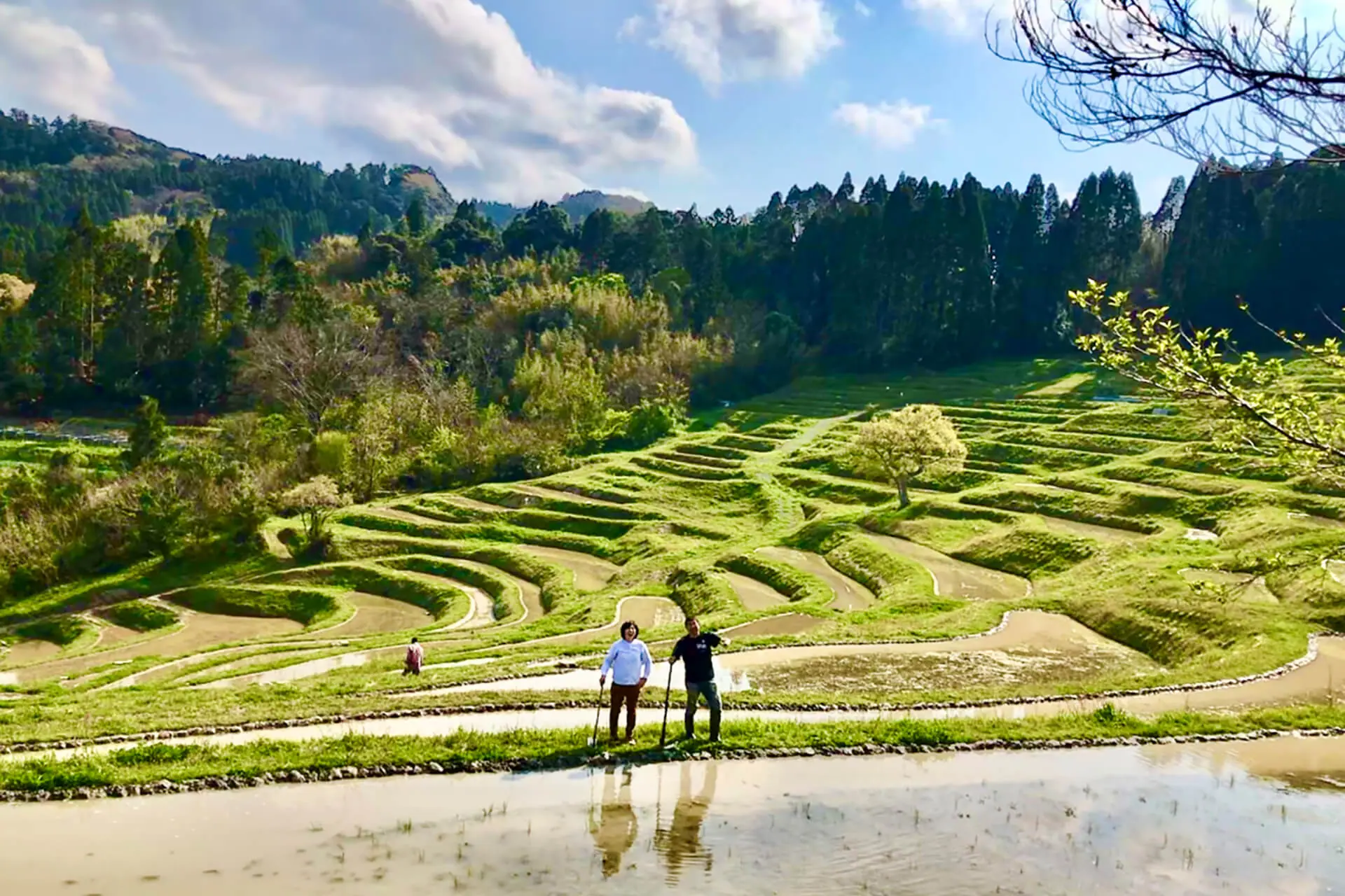 Oyama Senmaida Fields Of Gold Visit Chiba