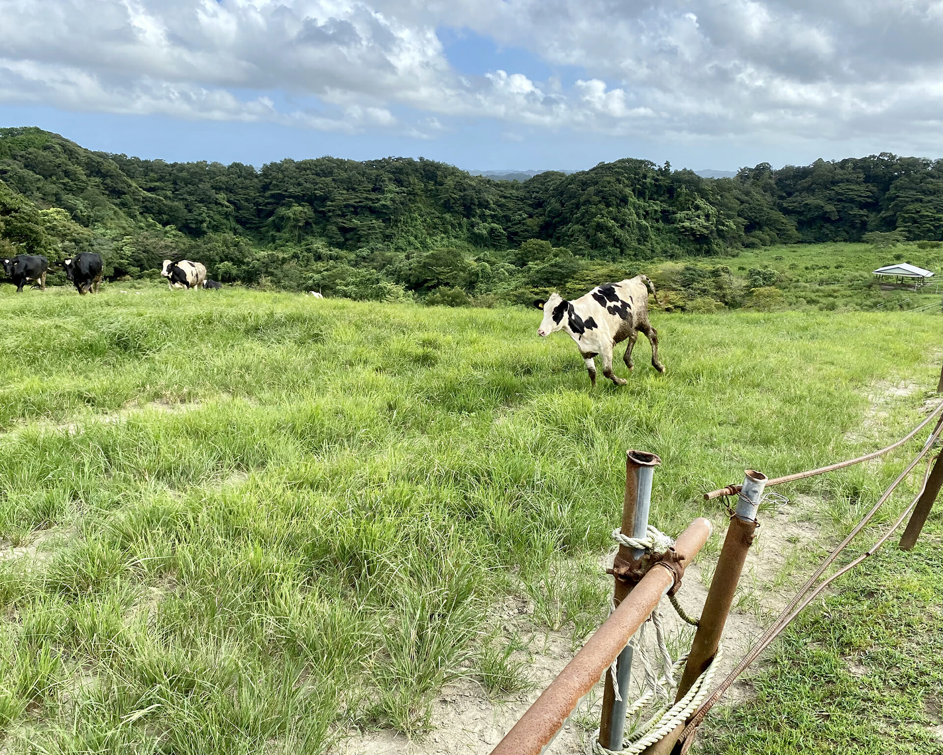 chiba prefecture tourist spot