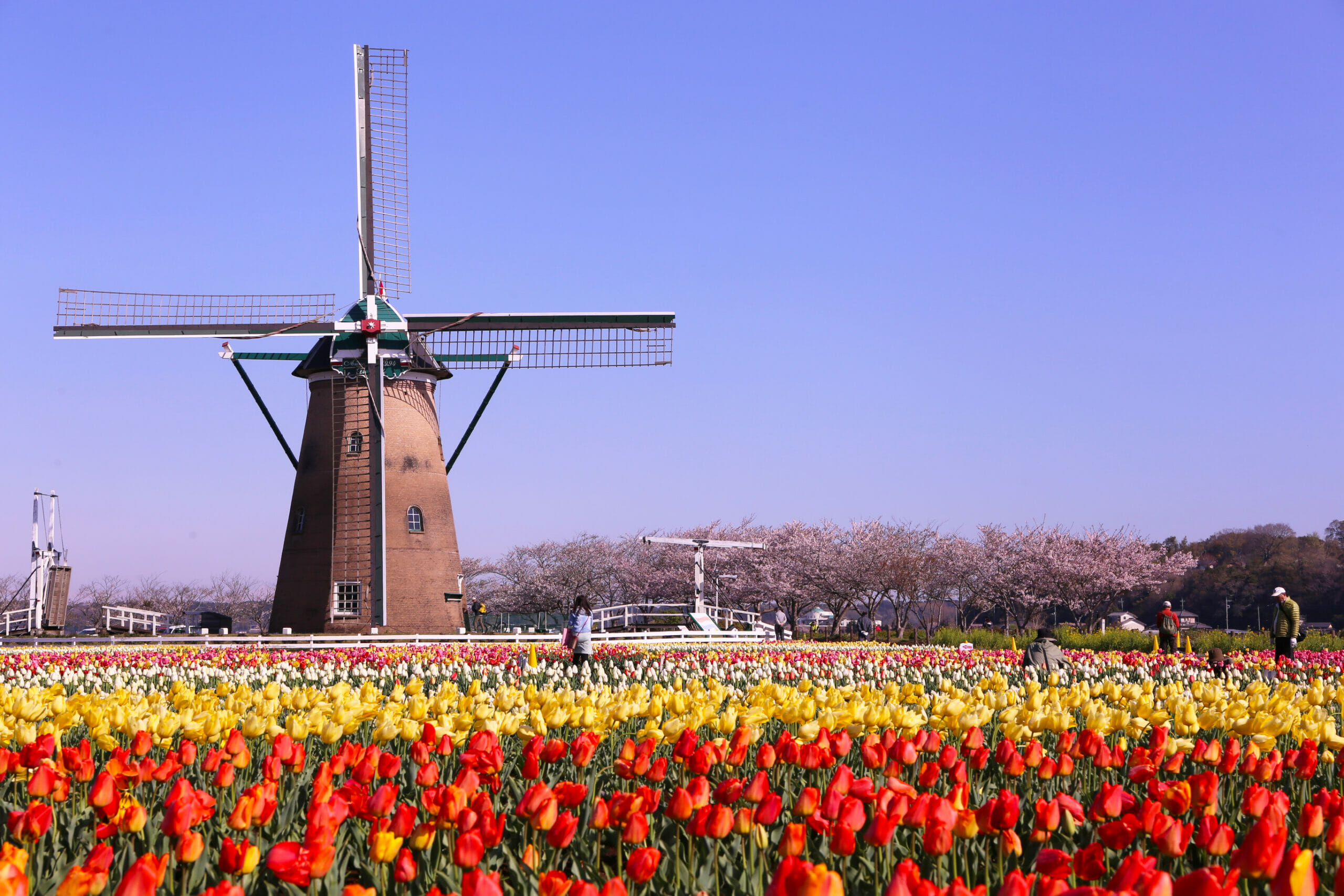 chiba prefecture tourist spot