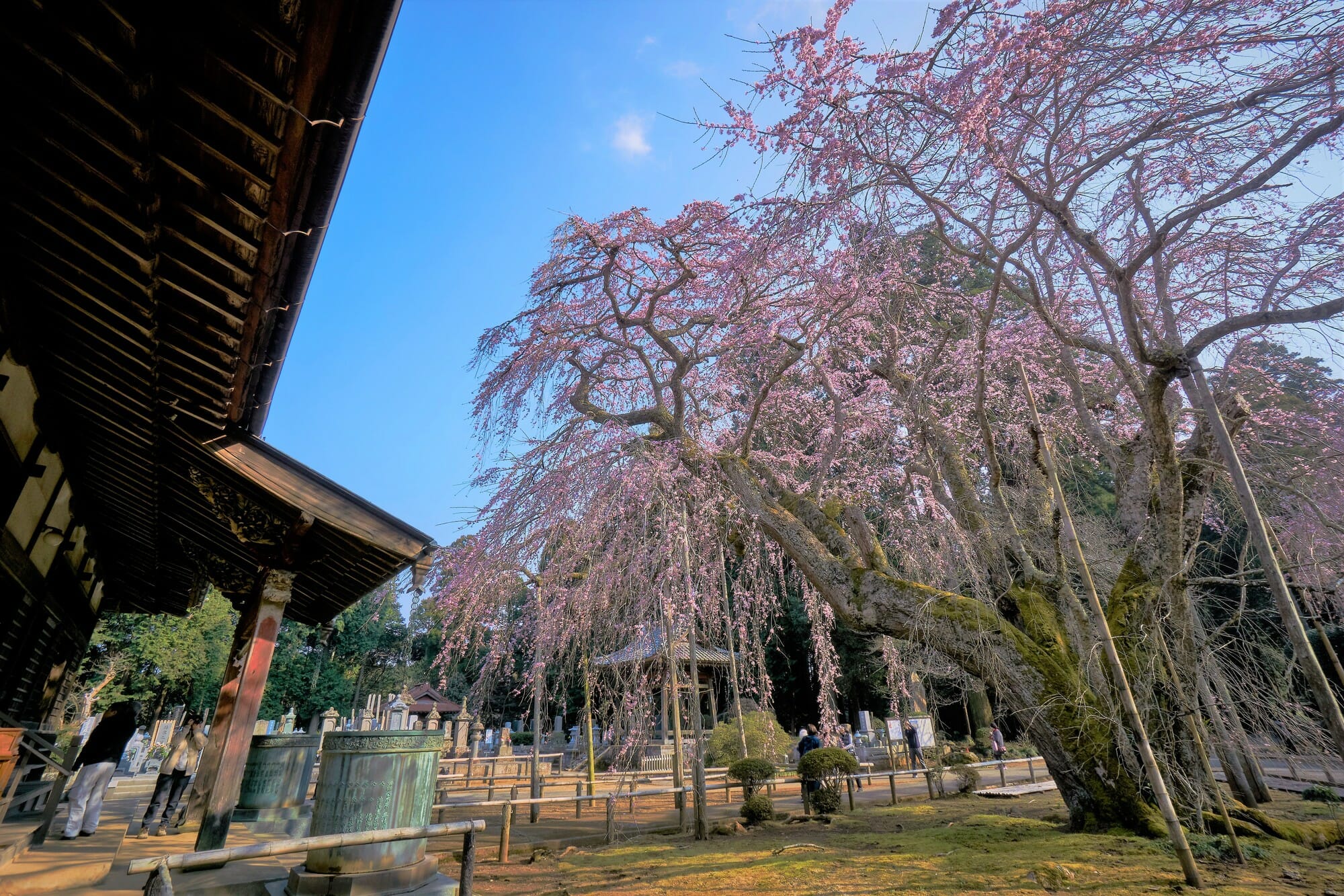 chiba prefecture tourist spot