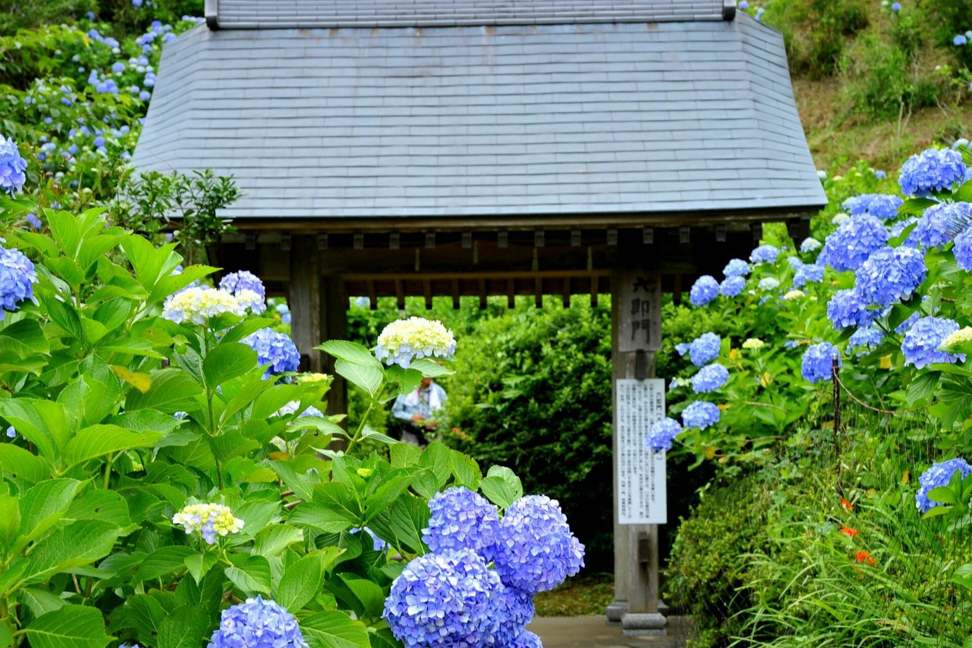 chiba prefecture tourist spot