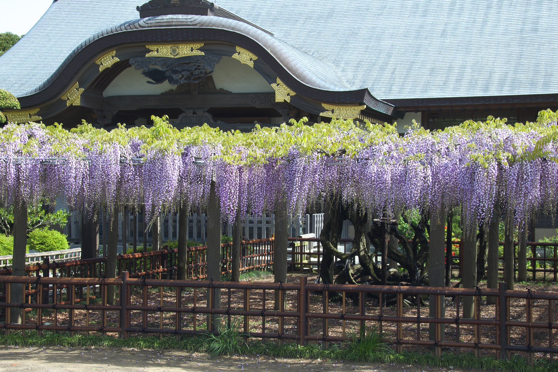 chiba prefecture tourist spot