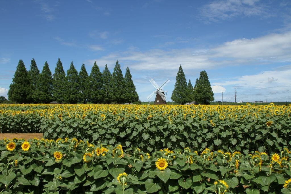 chiba prefecture tourist spot