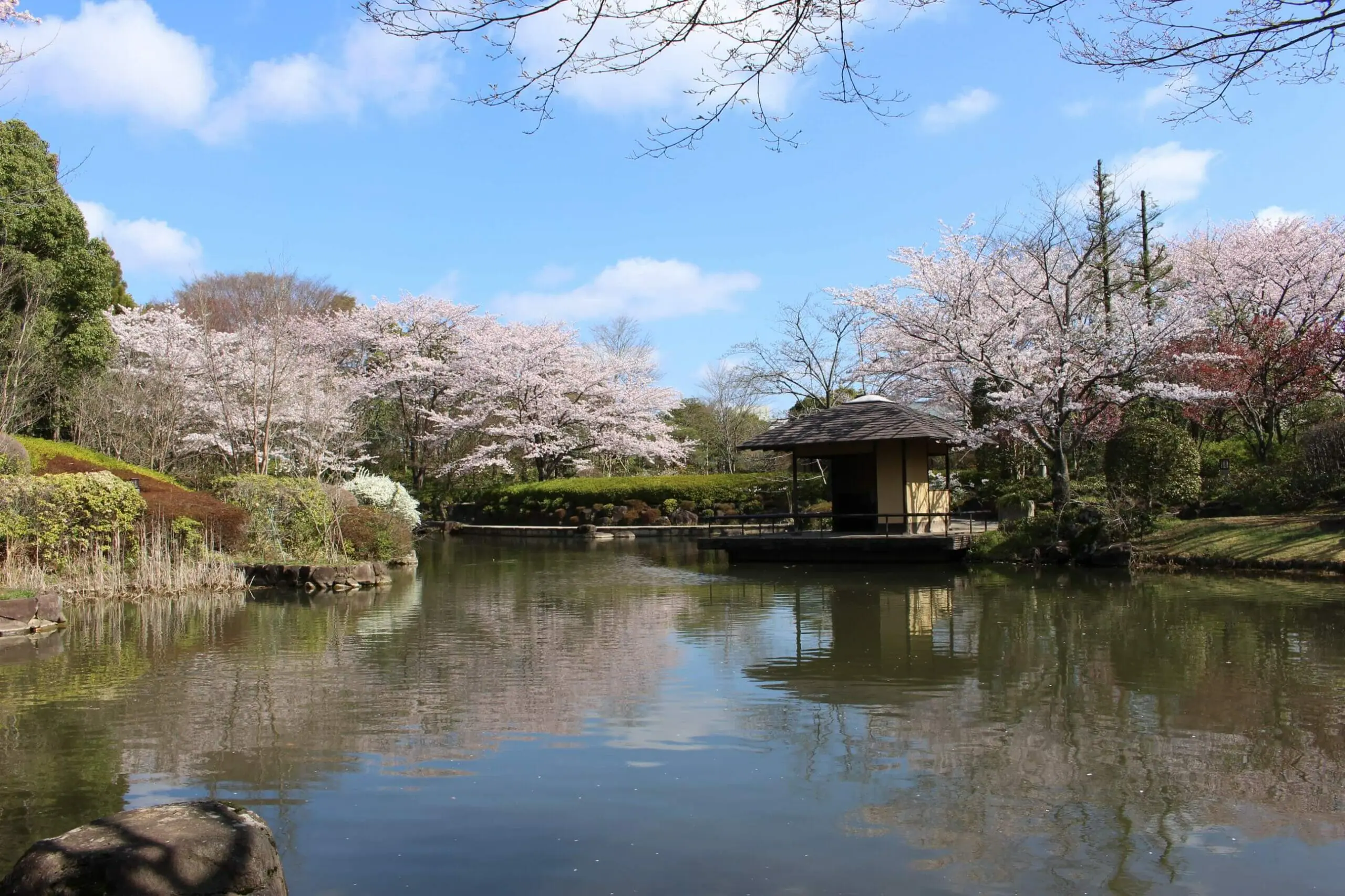 Makuhari Kaihin Park (2025) - All You Need to Know BEFORE