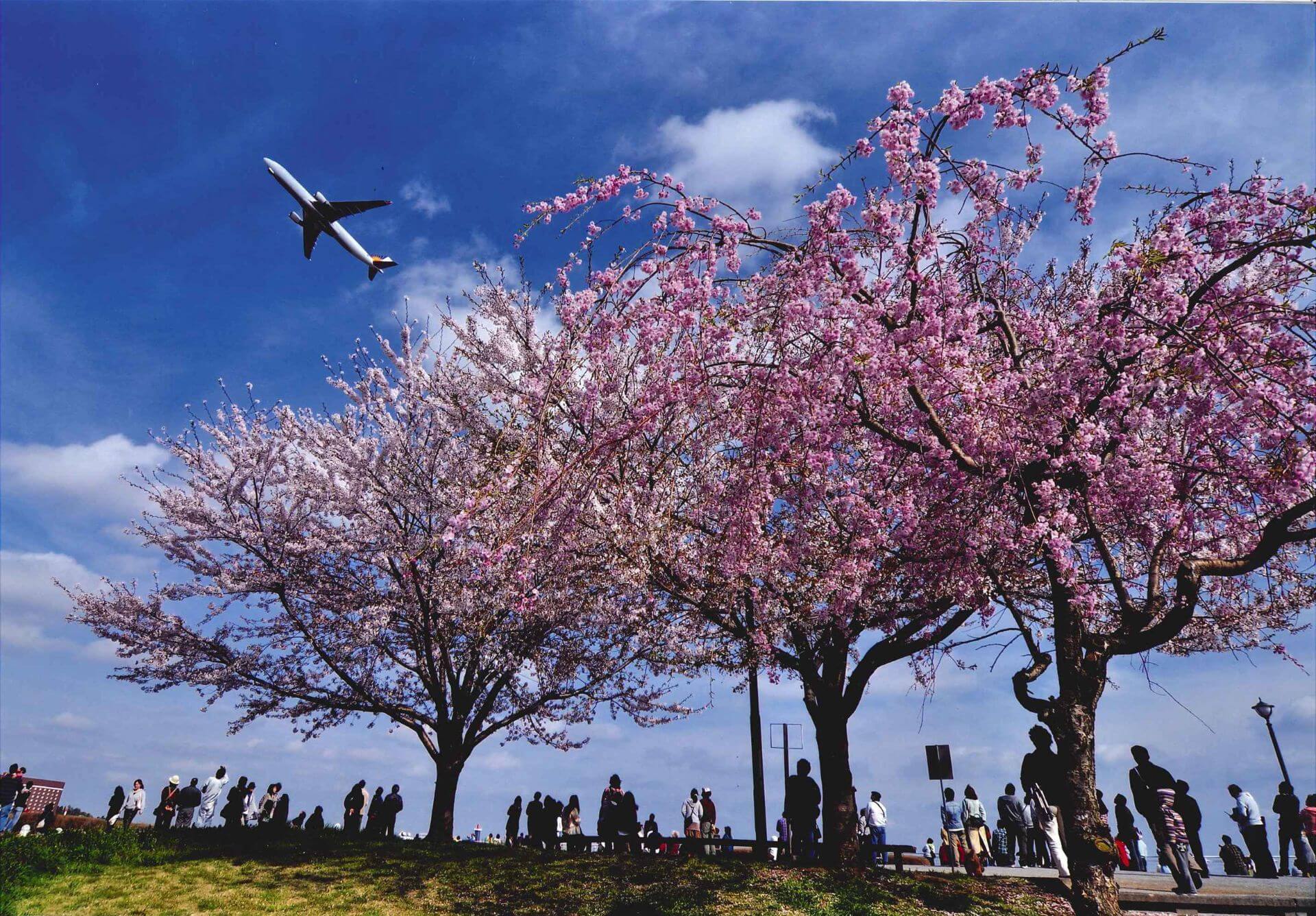 chiba prefecture tourist spot