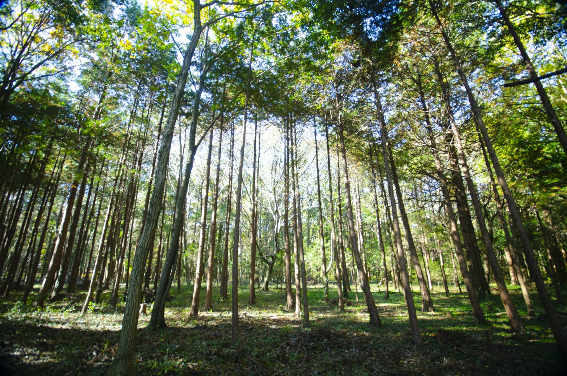 chiba prefecture tourist spot