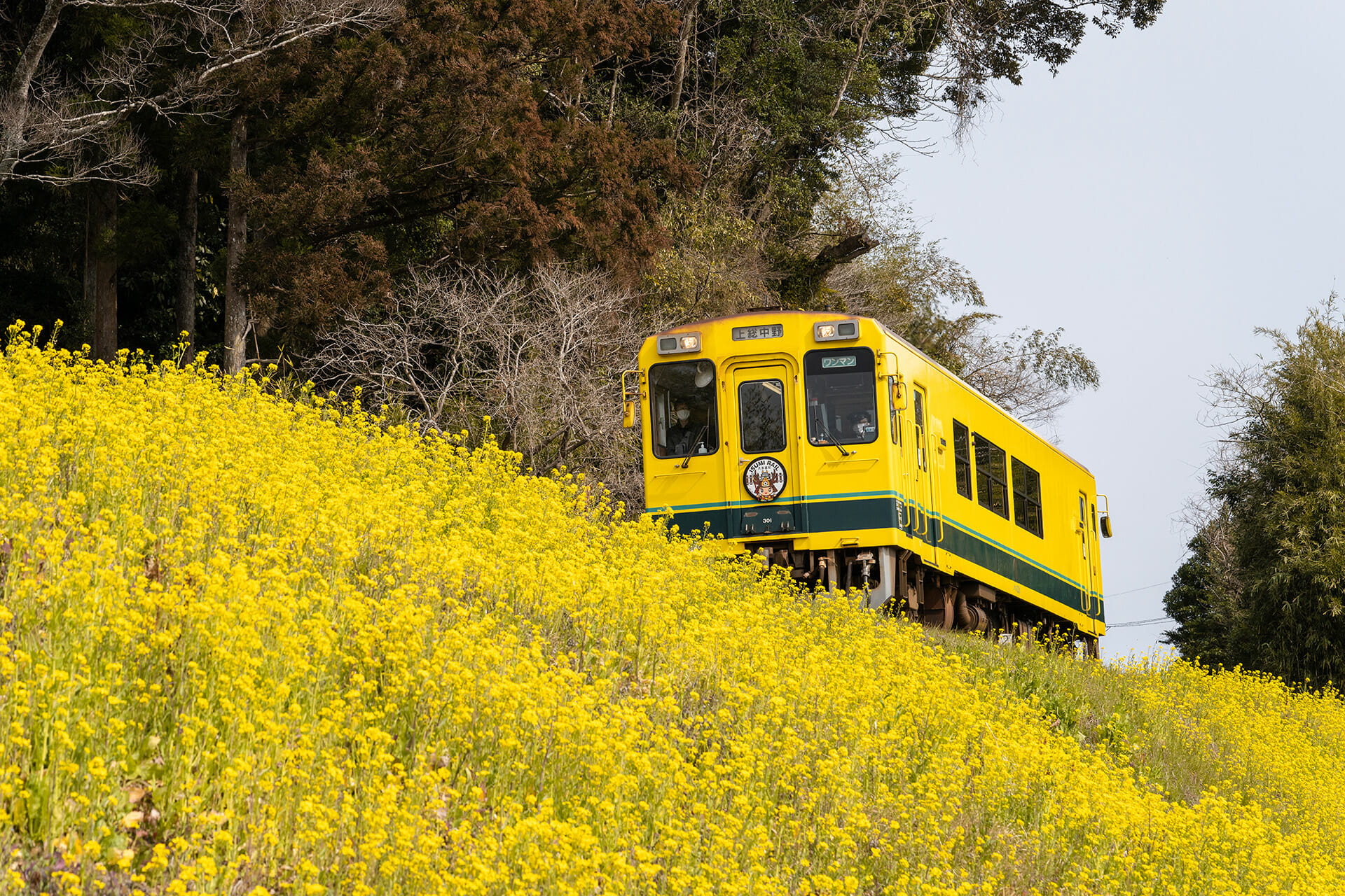 chiba prefecture tourist spot