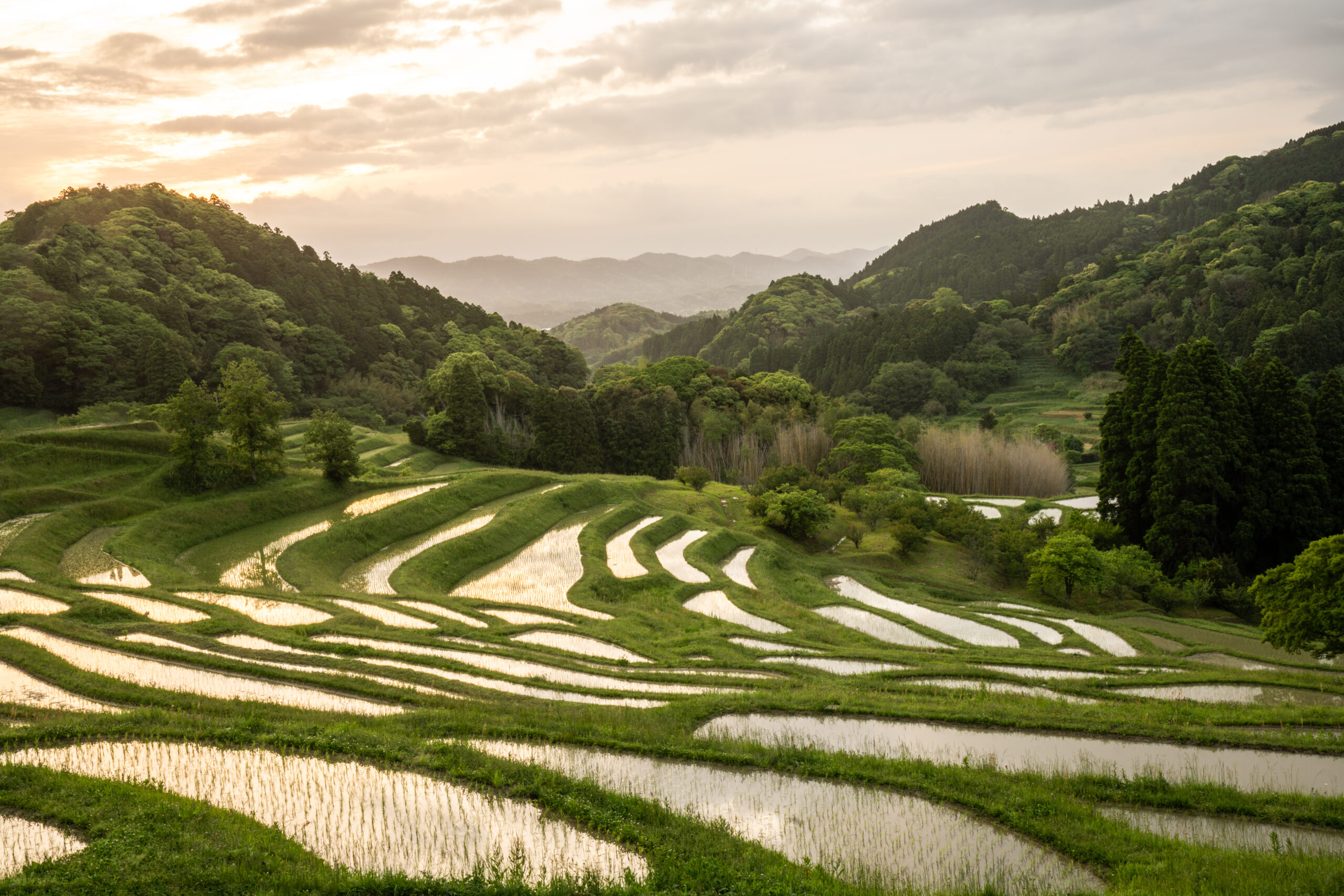 places to visit in chiba japan