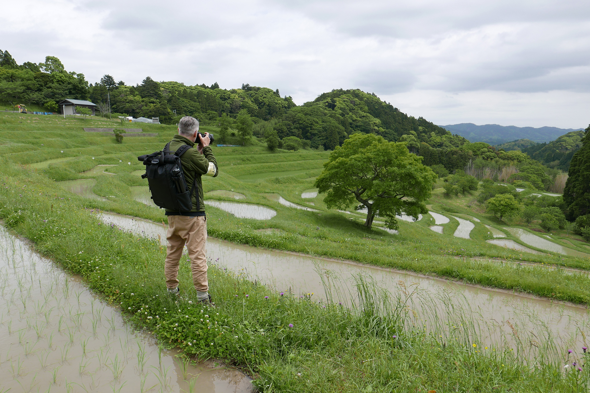 Click below to access our free-to-use photo library. Follow a few easy steps to download photos taken from all around Chiba.