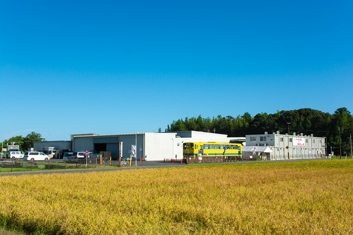 chiba prefecture tourist spot